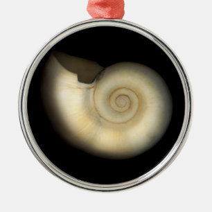 Shell - Conchology - Nautilus Metal Tree Decoration