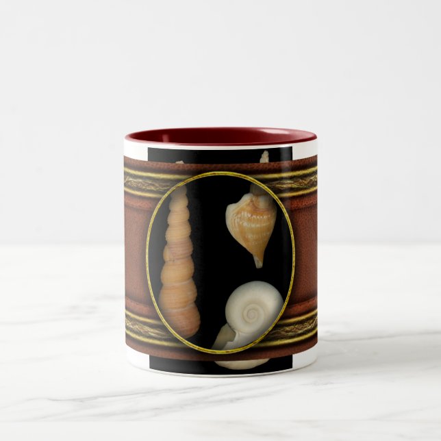 Shell - Conchology - Shells Two-Tone Coffee Mug (Center)