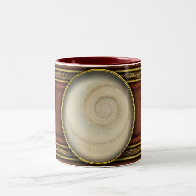 Shell - Conchology - White Spiral Two-Tone Coffee Mug (Center)