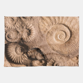 Shell Fossils Tea Towel