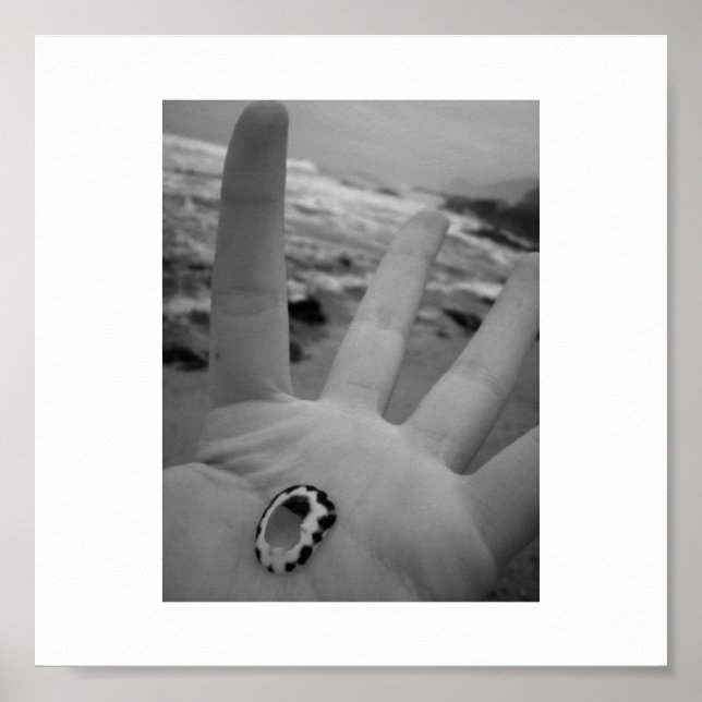 Shell in hand poster (Front)