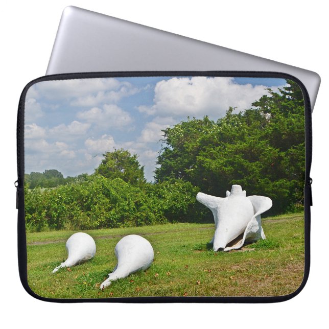 Shell Laptop Sleeve (Front)