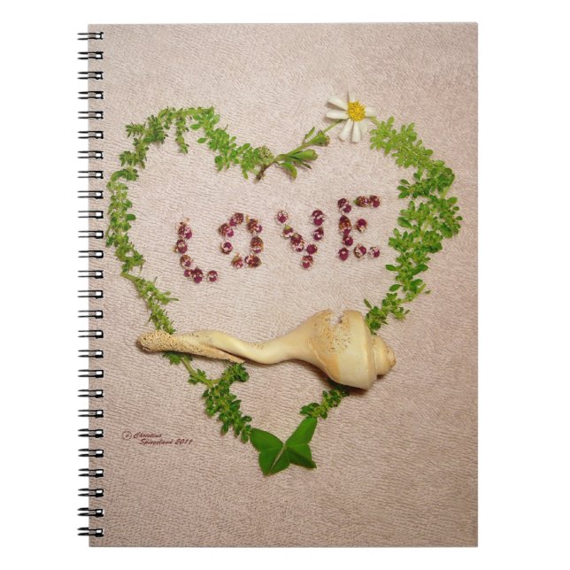 Shell love heart Notebook (Front)