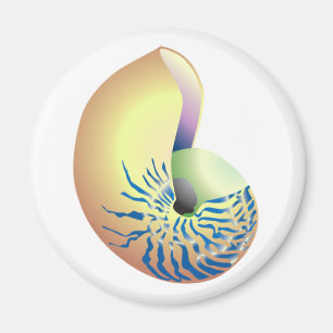 SHELL MAGNET