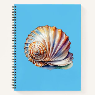 Shell Notebook