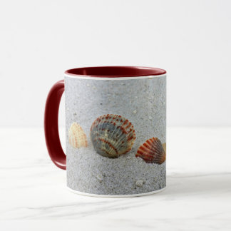 Shell of a Cup