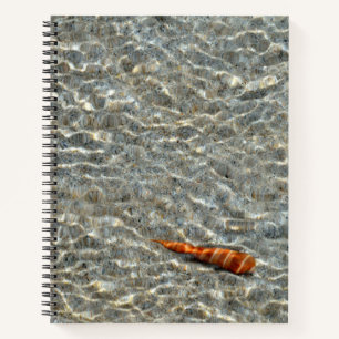 Shell on the Beach Notebook