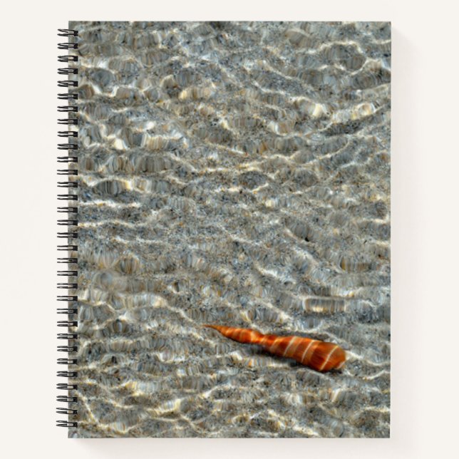 Shell on the Beach Notebook (Front)