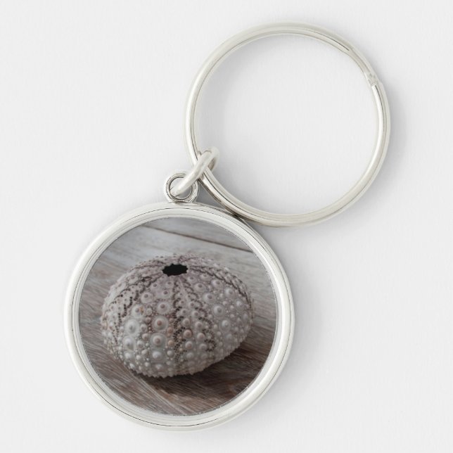 Shell On Top Of A Wooden Table Key Ring (Front)