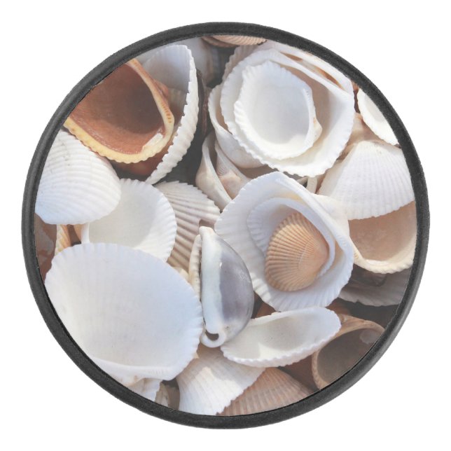 Shell, Shells, Seashell Hockey Puck (Front)