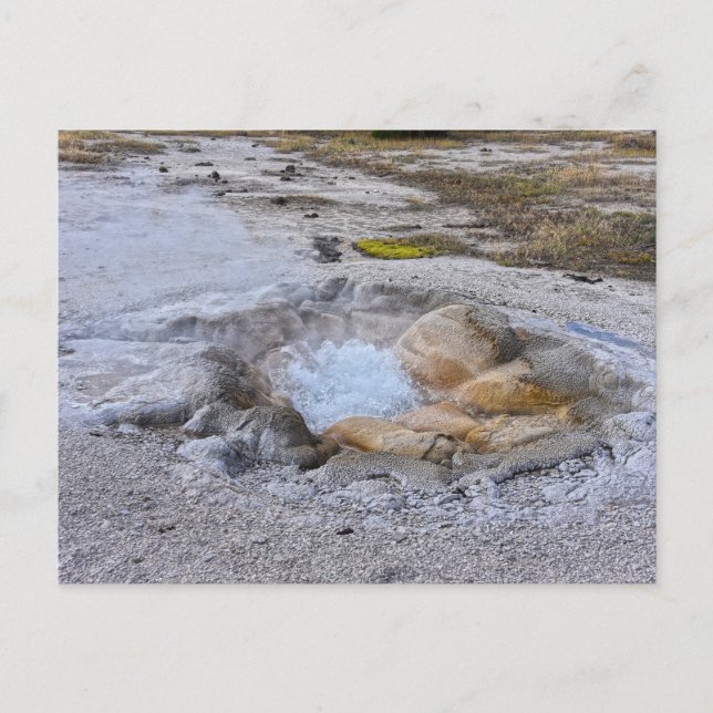 Shell Spring in Yellowstone National Park, Wyoming Postcard (Front)