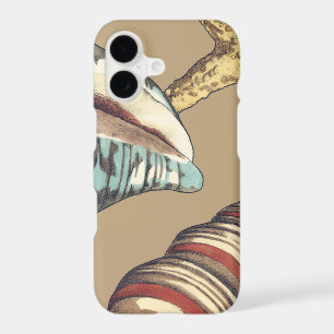 Shell Trio on Khaki