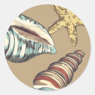 Shell Trio on Khaki Classic Round Sticker