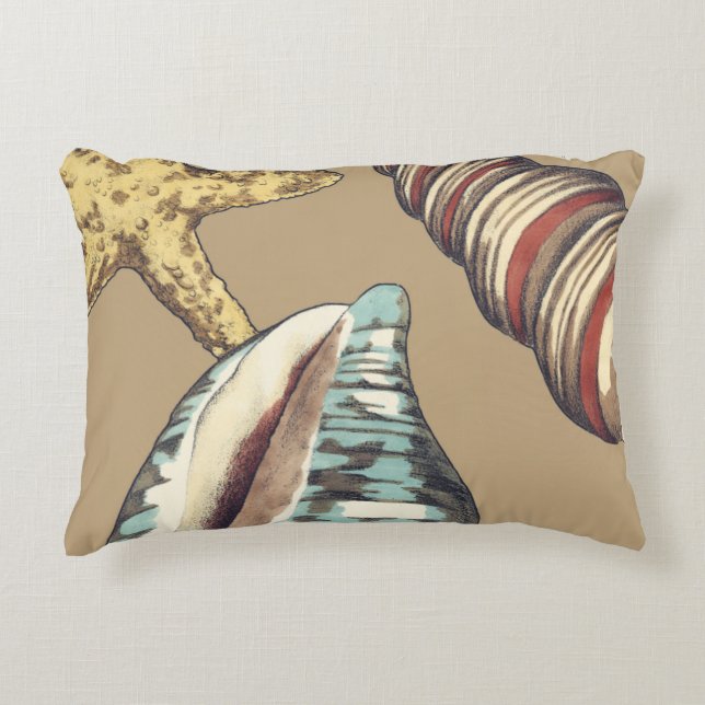 Shell Trio on Khaki Decorative Cushion (Front)