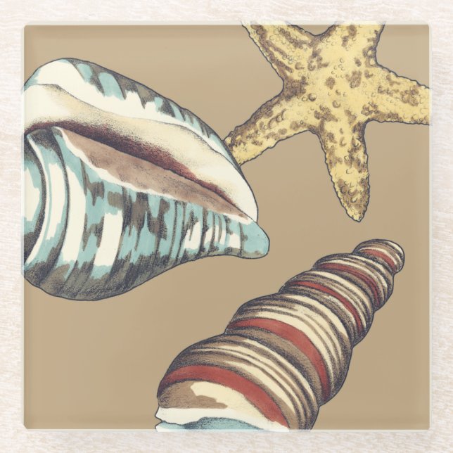 Shell Trio on Khaki Glass Coaster (Front)