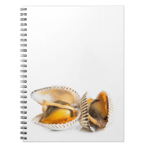 Shellfish Notebook