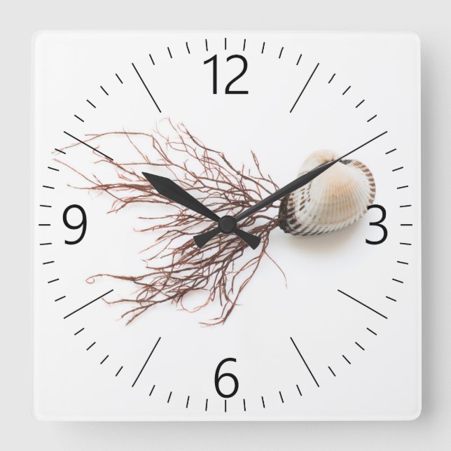 Shellfish Square Wall Clock (Front)