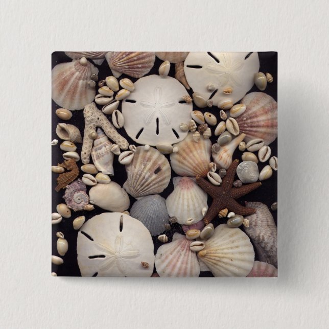 Shells 15 Cm Square Badge (Front)