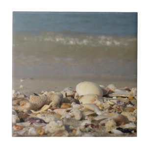 shells, beach, water, sand, sea, maritime, photo, ceramic tile