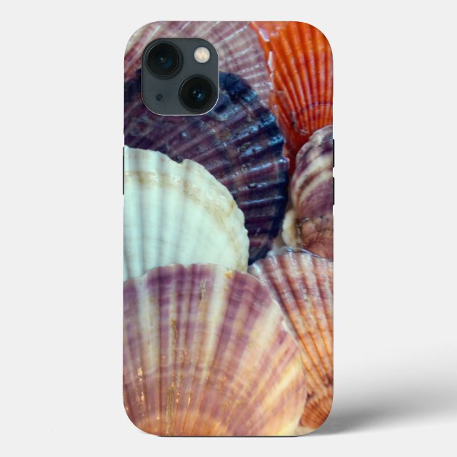 Shells Case-Mate Phone Case, Apple iPhone 13 Case (Back)