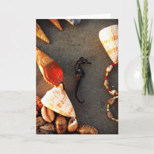 Shells Holiday Card