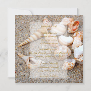 shells ii Invitation