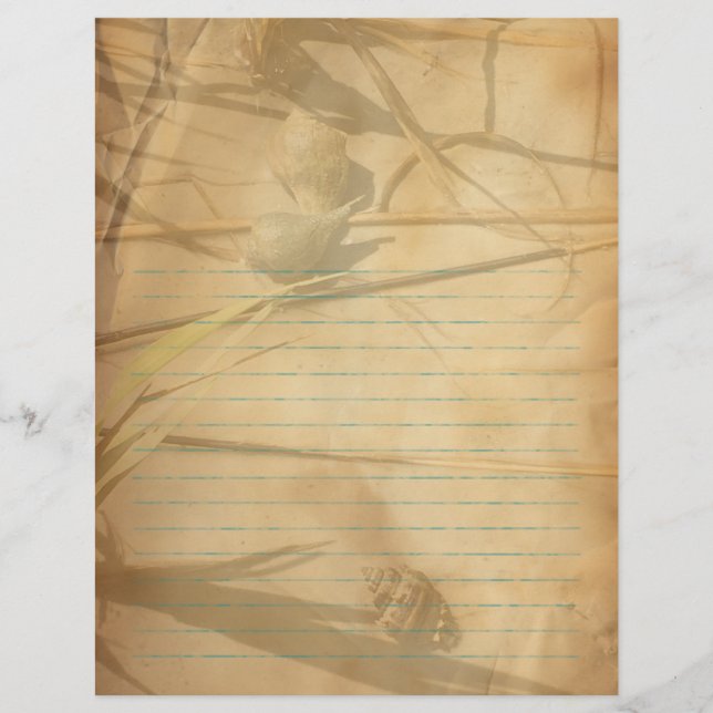 Shells in Grass Vintage Lined Binder Paper (Front)