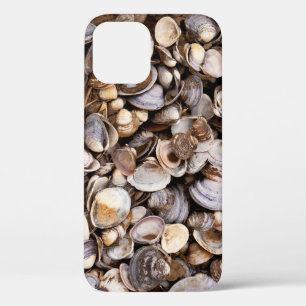 Shells in Mud iPhone 12 Case