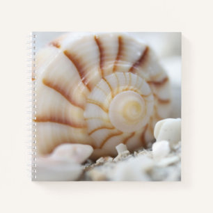 Shells in the Sand Notebook