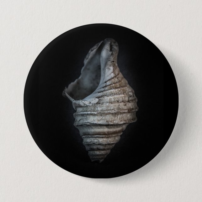 Shells No 6 Colour Version 7.5 Cm Round Badge (Front)