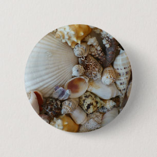 Shells Of Sanibel 6 Cm Round Badge