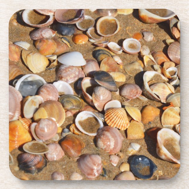 Shells On A Sandy Beach | Andalusia, Spain Coaster (Front)