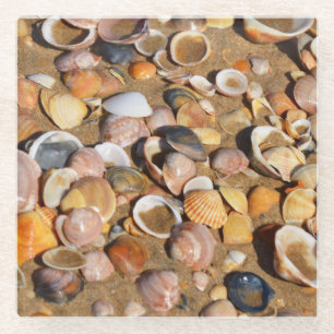 Shells On A Sandy Beach Andalusia, Spain Glass Coaster