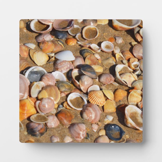Shells On A Sandy Beach | Andalusia, Spain Plaque (Front)