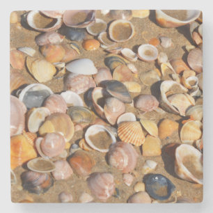 Shells On A Sandy Beach Andalusia, Spain Stone Coaster