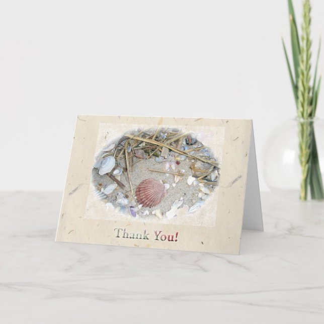 Shells on Beach Thank You Card (Front)