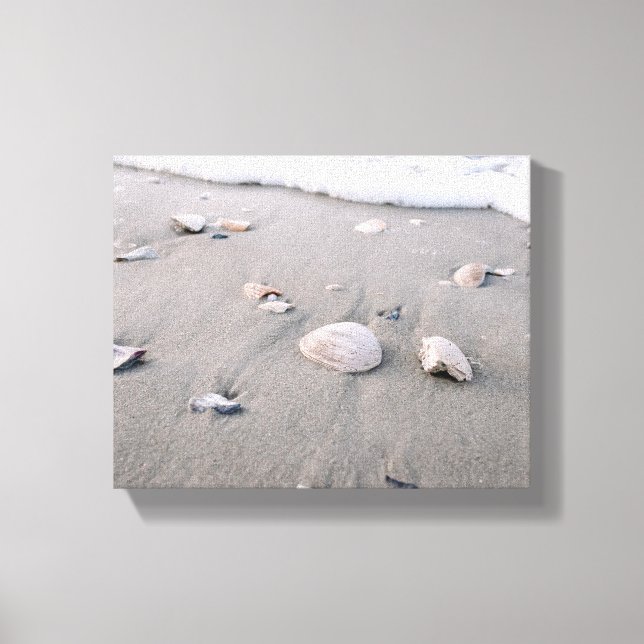 Shells On Sand Canvas Print (Front)