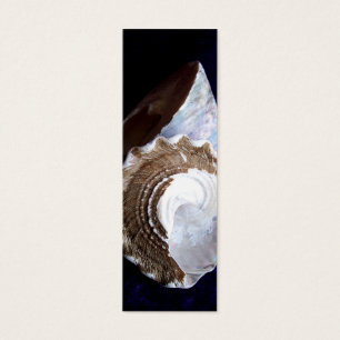 Shells Profile Card or bookmark