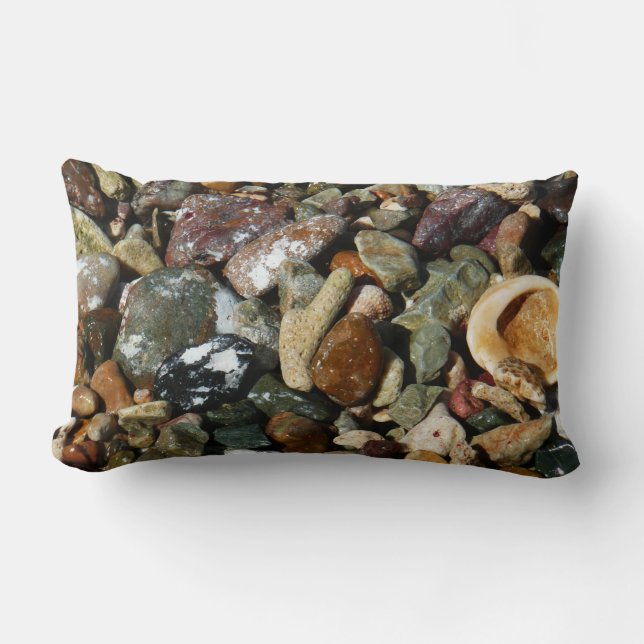 Shells, Rocks and Coral Nature Photography Lumbar Cushion (Front)
