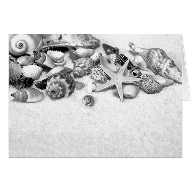 Shells & Starfish Card (Front Horizontal)