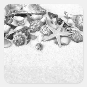 Shells & Starfish Stickers