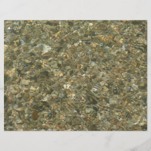 Shells Under Rippling Water