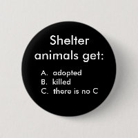 Shelter animals get:, A. adoptedB. kille...