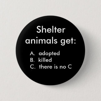 Shelter animals get:, A.  adoptedB.  kille... 6 Cm Round Badge