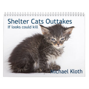 Shelter Cats Outtakes Calendar