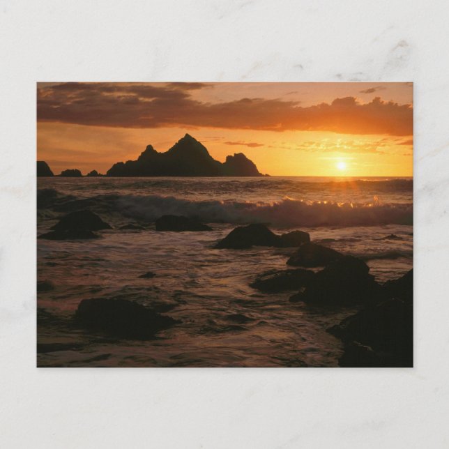 Shelter Cove Postcard (Front)