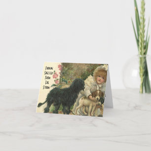 Shelter From The Storm Pet Cat Rescue Thanks Card