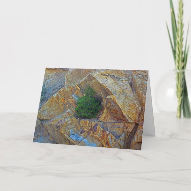 Shelter From The Storm Season's Greeting Card (Front)