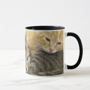Shelter Kittens Mug