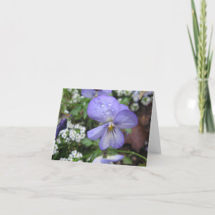 Shelter Me - Notecard
